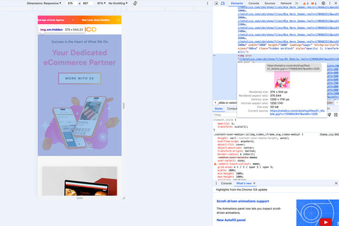 Image optimization graphic