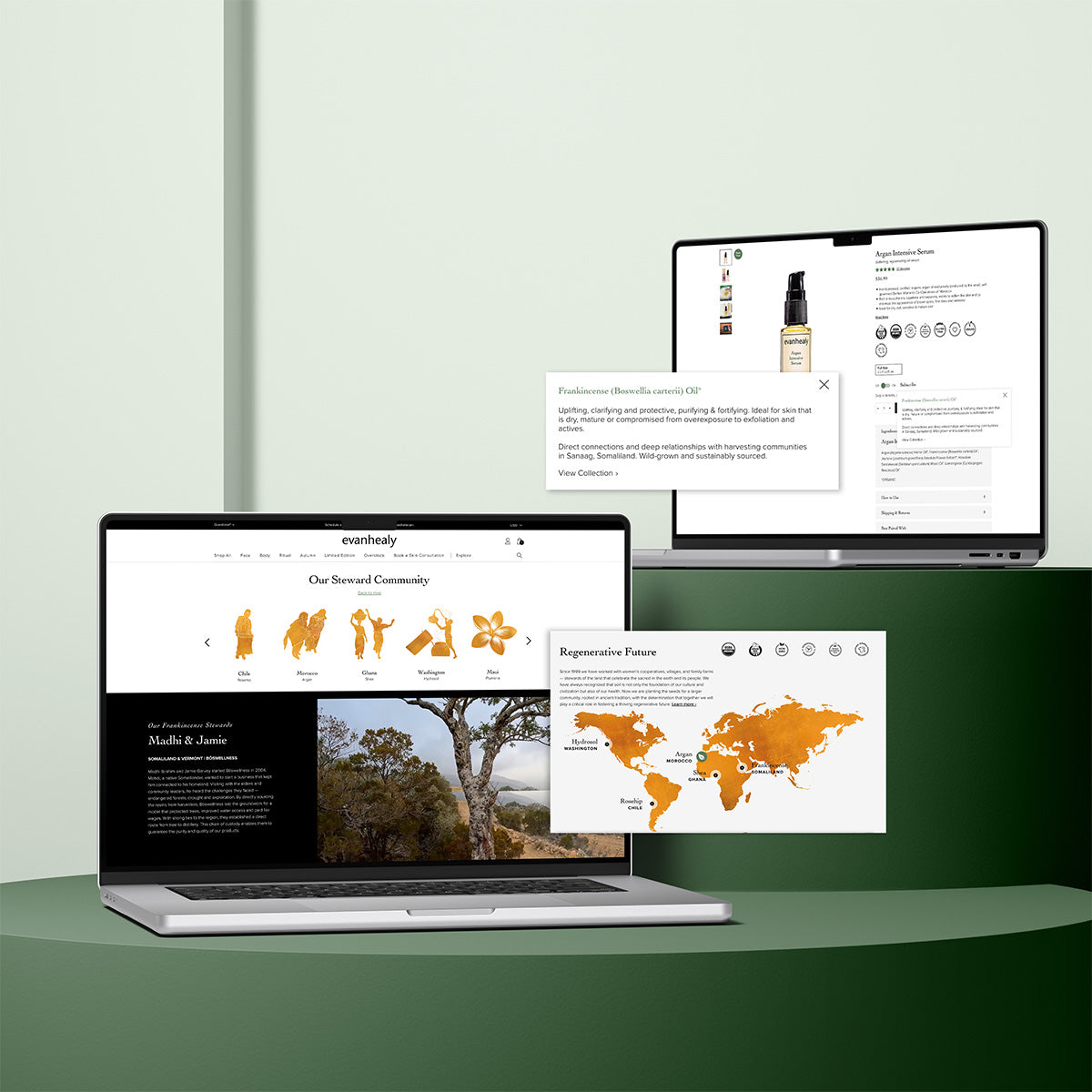 Interactive map feature